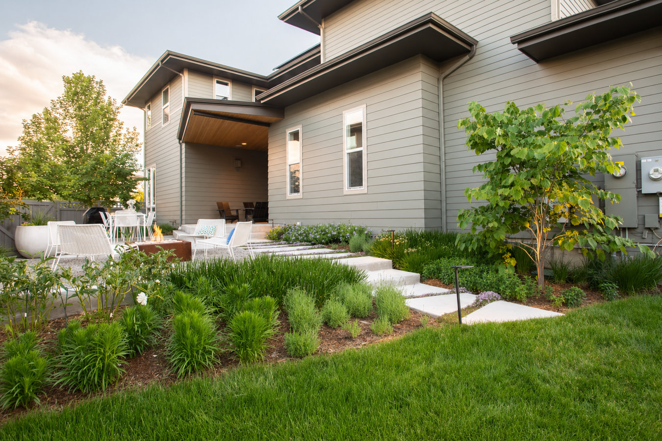 Drought-tolerant turf